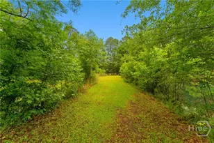 4221 Ga Hwy 119 Hwy N, Clyo, GA 31303 - Photo 53