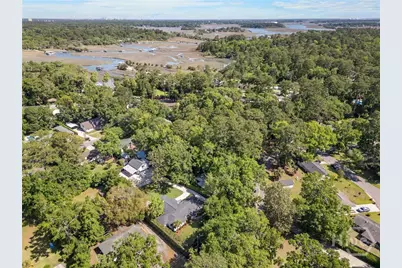 29 Cornus Drive, Savannah, GA 31406 - Photo 35