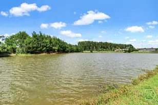65 Canyon Oak Loop, Richmond Hill, GA 31324 - Photo 39