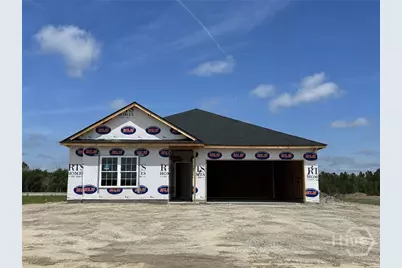 854 Doctor's Creek Road NE, Ludowici, GA 31316 - Photo 1