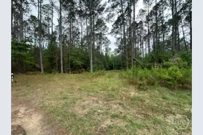 3115 Deer Run Road, Statesboro, GA 30461 - Photo 7