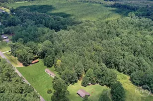2814 Old Dixie Hwy S, Springfield, GA 31329 - Photo 27