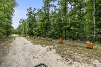 373 Chuck Ellis Road, Portal, GA 30450 - Photo 27