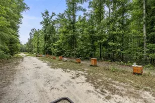 373 Chuck Ellis Rd, Portal, GA 30450 - Photo 27