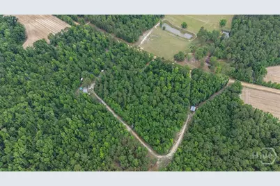 373 Chuck Ellis Road, Portal, GA 30450 - Photo 65
