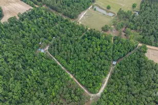 373 Chuck Ellis Rd, Portal, GA 30450 - Photo 65