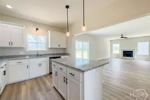 202 Calhoun Way NE, Ludowici, GA 31316 - Photo 7