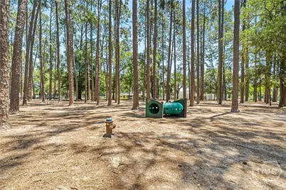 1409 E 49th Street, Savannah, GA 31404 - Photo 45