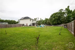 168 Halcyon Way, Ludowici, GA 31316 - Photo 47