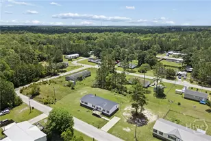 196 Tupelo Loop NE, Ludowici, GA 31316 - Photo 33