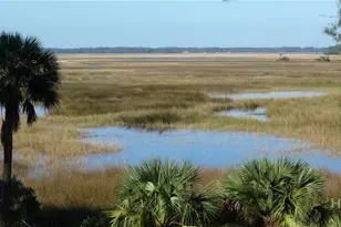 374 Coffee Bluff Villa Rd, Savannah, GA 31419 - Photo 33
