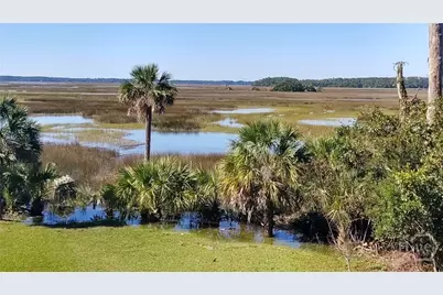 374 Coffee Bluff Villa Road, Savannah, GA 31419 - Photo 37
