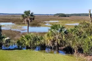 374 Coffee Bluff Villa Rd, Savannah, GA 31419 - Photo 37