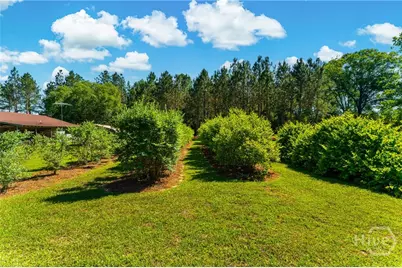 4236 S Newton Road, Millen, GA  - Photo 71