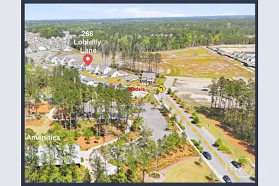 268 Loblolly Lane, Richmond Hill, GA 31324 - Photo 3