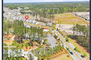 268 Loblolly Ln, Richmond Hill, GA 31324 - Photo 3