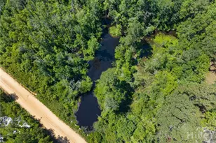 101 Doe Dr, Brooklet, GA 30415 - Photo 27