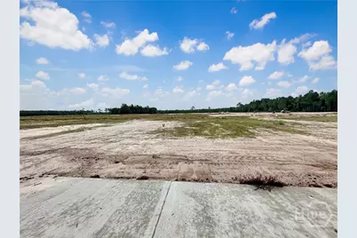 861 Doctor's Creek Road NE, Ludowici, GA 31316 - Photo 19