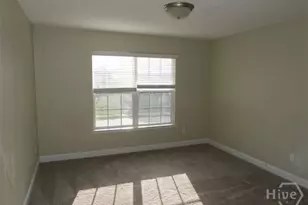 346 Nashview Trail Trail, Hinesville, GA 31313 - Photo 15