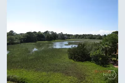 8 Lighthouse Lane, Tybee Island, GA 31328 - Photo 53
