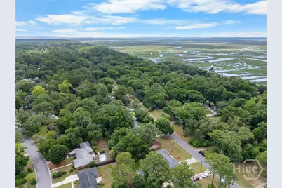 1723 Walthour Road, Savannah, GA 31410 - Photo 49