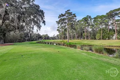 3 Senauki Lane, Savannah, GA 31411 - Photo 29