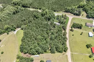 810 Simpsontown Rd, Newington, GA 30446 - Photo 39