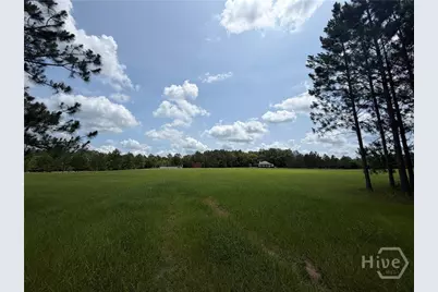 479 Old Poor Robin Road, Sylvania, GA 30467 - Photo 21