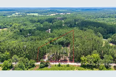4112 Seed Tick Road, Ellabell, GA 31308 - Photo 21