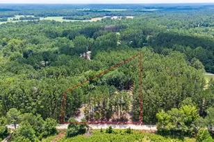 4112 Seed Tick Rd, Ellabell, GA 31308 - Photo 21