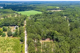 4112 Seed Tick Rd, Ellabell, GA 31308 - Photo 23