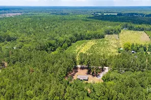 4112 Seed Tick Rd, Ellabell, GA 31308 - Photo 25