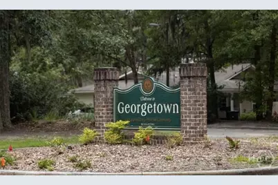 156 Dovetail Crossing, Savannah, GA 31419 - Photo 35