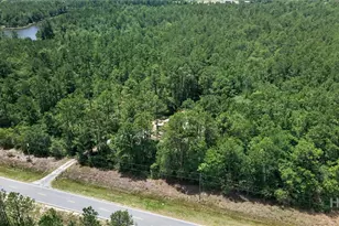 27418 GA-46, Ellabell, GA 31308 - Photo 37