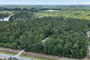 27418 GA-46, Ellabell, GA 31308 - Photo 31
