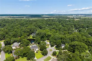 5 Dragonfly Point, Savannah, GA 31406 - Photo 73