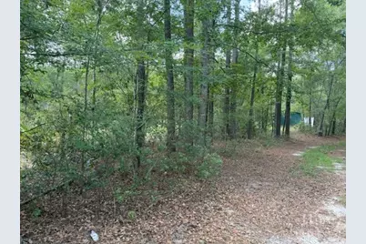 704 Mack English Road, Ellabell, GA 31308 - Photo 7