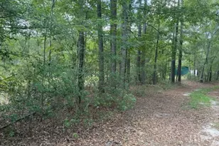 704 Mack English Rd, Ellabell, GA 31308 - Photo 7