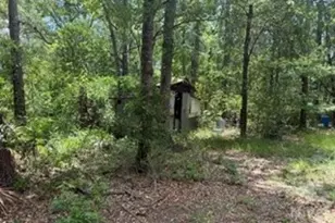 704 Mack English Rd, Ellabell, GA 31308 - Photo 39