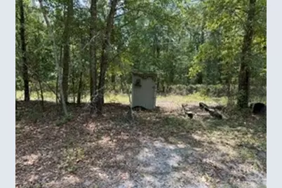 704 Mack English Road, Ellabell, GA 31308 - Photo 53