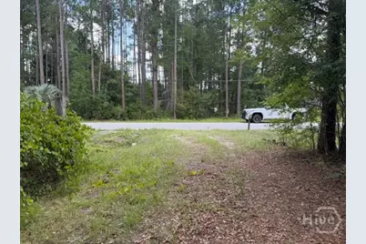 704 Mack English Road, Ellabell, GA 31308 - Photo 9