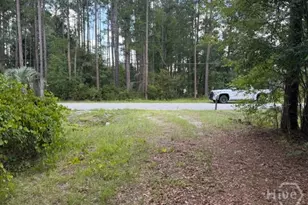704 Mack English Rd, Ellabell, GA 31308 - Photo 9