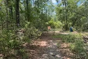 704 Mack English Rd, Ellabell, GA 31308 - Photo 43