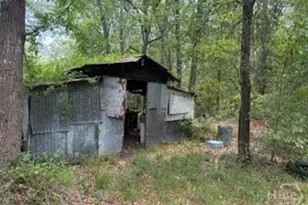 704 Mack English Rd, Ellabell, GA 31308 - Photo 41