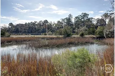 2724 Livingston Avenue, Savannah, GA 31406 - Photo 67