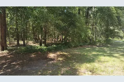 1409 Ebenezer Road, Rincon, GA 31326 - Photo 39