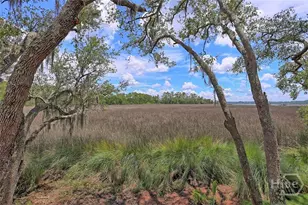 223 Mariners Way, Savannah, GA 31419 - Photo 47