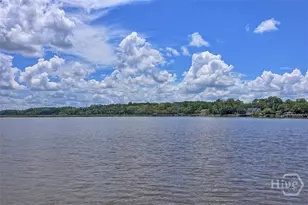 223 Mariners Way, Savannah, GA 31419 - Photo 59