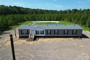 1265 Bradwell Dunham Rd NE, Ludowici, GA 31316 - Photo 41