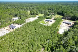 1265 Bradwell Dunham Rd NE, Ludowici, GA 31316 - Photo 49